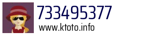 733495377
