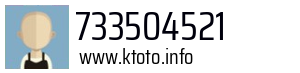 733504521