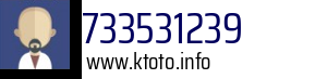733531239