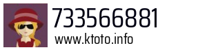 733566881