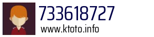 733618727