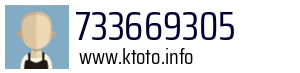 733669305