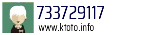 733729117