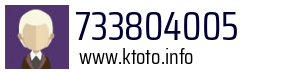 733804005