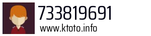 733819691