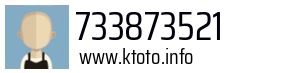 733873521