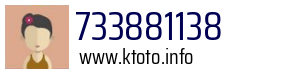 733881138