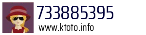 733885395