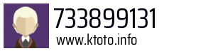 733899131