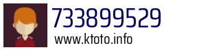 733899529