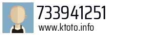 733941251