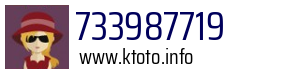 733987719