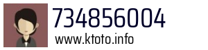 734856004