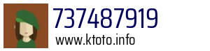 737487919