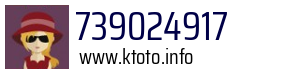 739024917