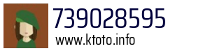 739028595