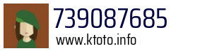 739087685