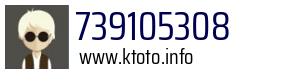 739105308
