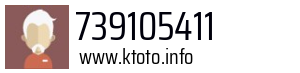 739105411
