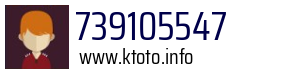 739105547