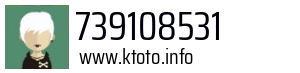 739108531