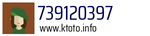 739120397
