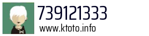 739121333