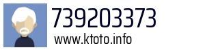 739203373