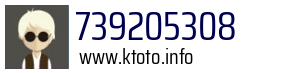 739205308