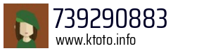 739290883