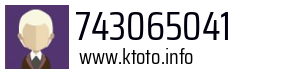 743065041