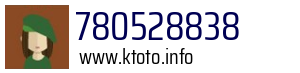 780528838