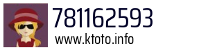 781162593