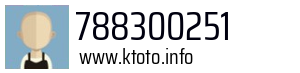 788300251