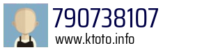 790738107