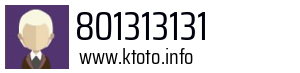 801313131