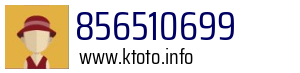 Numer telefonu 856510699 856510699