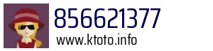 Numer telefonu 856621377 856621377