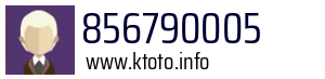 Numer telefonu 856790005 856790005