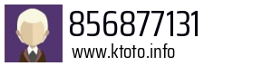 856877131