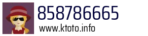 Numer telefonu 858786665 858786665