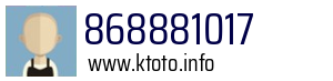 868881017