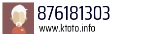 876181303