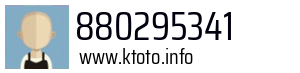 880295341