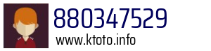 880347529