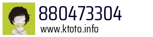 880473304