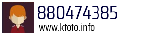 880474385