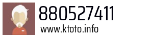 880527411