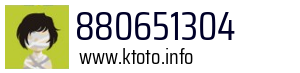 880651304
