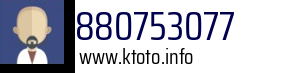 880753077